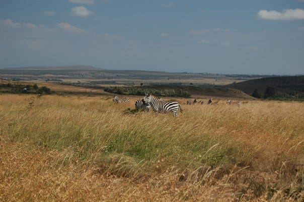 Kenya045.jpg