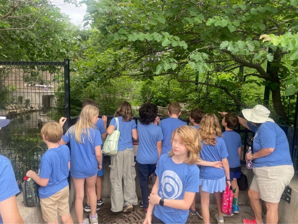 Elementary students explore park on field trip at nonreligious school.